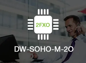 Denwa DW-SOHO-M-2O